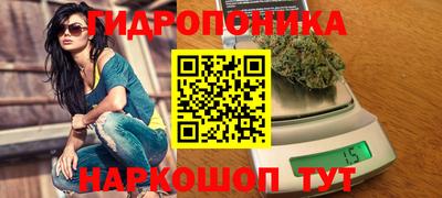 стаф Заволжье