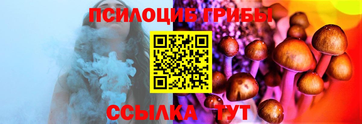 Псилоцибиновые грибы прущие грибы  Вход с VPN  Ялта  Галлюциногенные грибы мицелий 